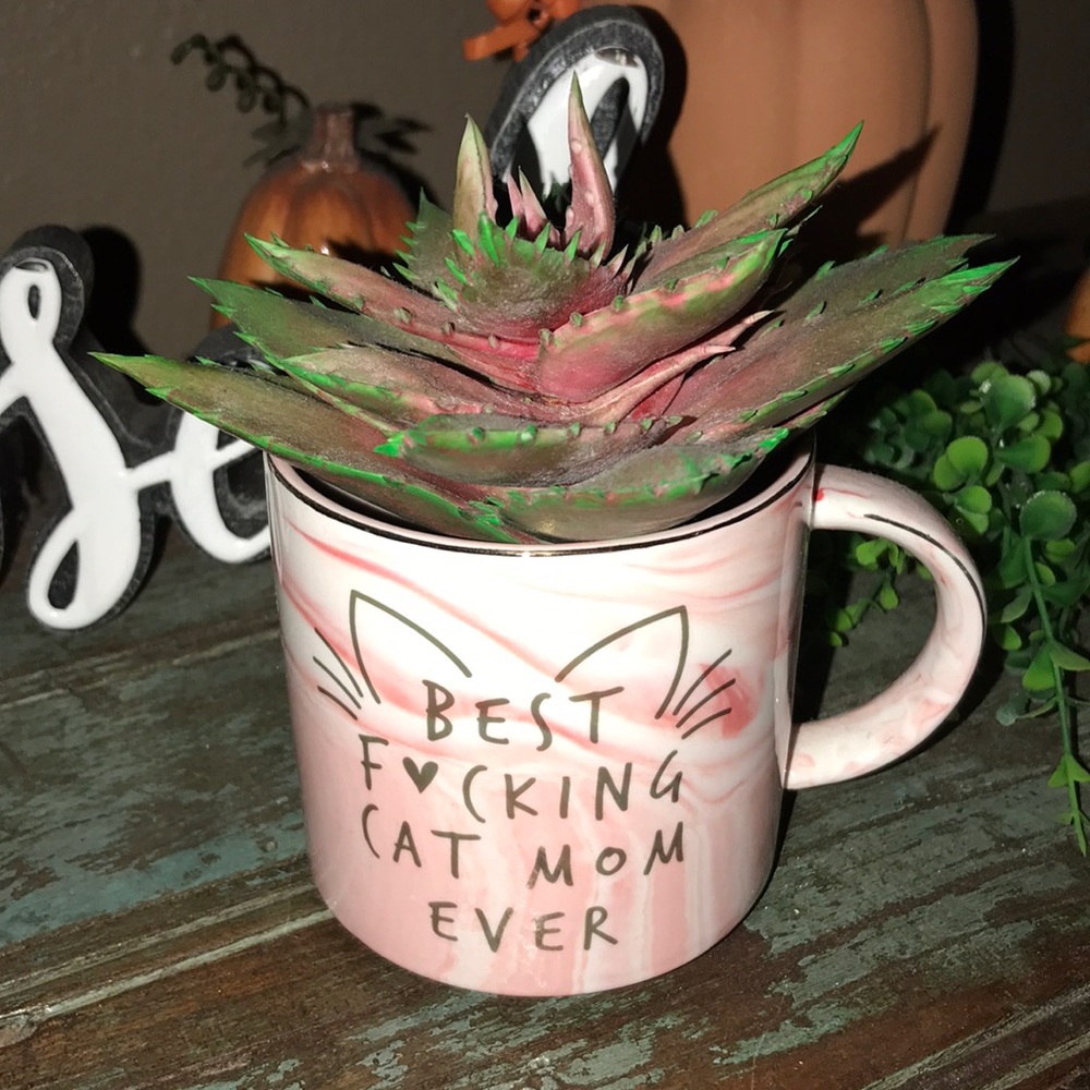 HENDSON MUG